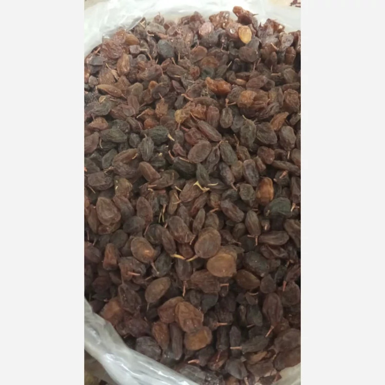 کشمش آفتابی ماندگار