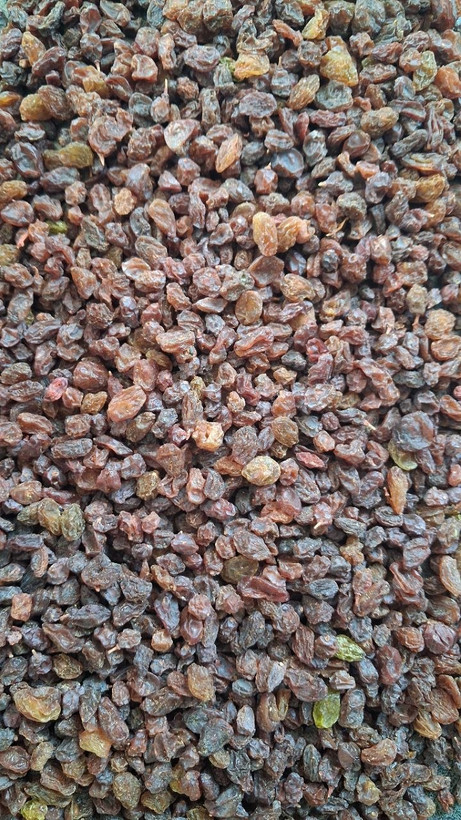 کشمش پلویی آفتاب خشک طبیعی و مرغوب، بدون روغن و مواد افزودنی