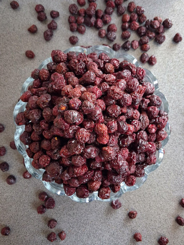 آلبالو مجاری ماندگار