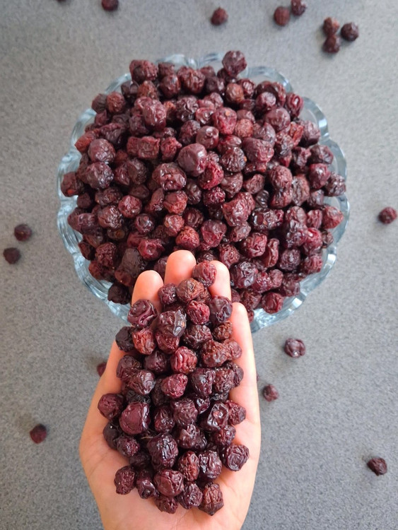 آلبالو مجاری ماندگار