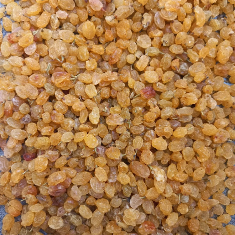کشمش پلویی زرد