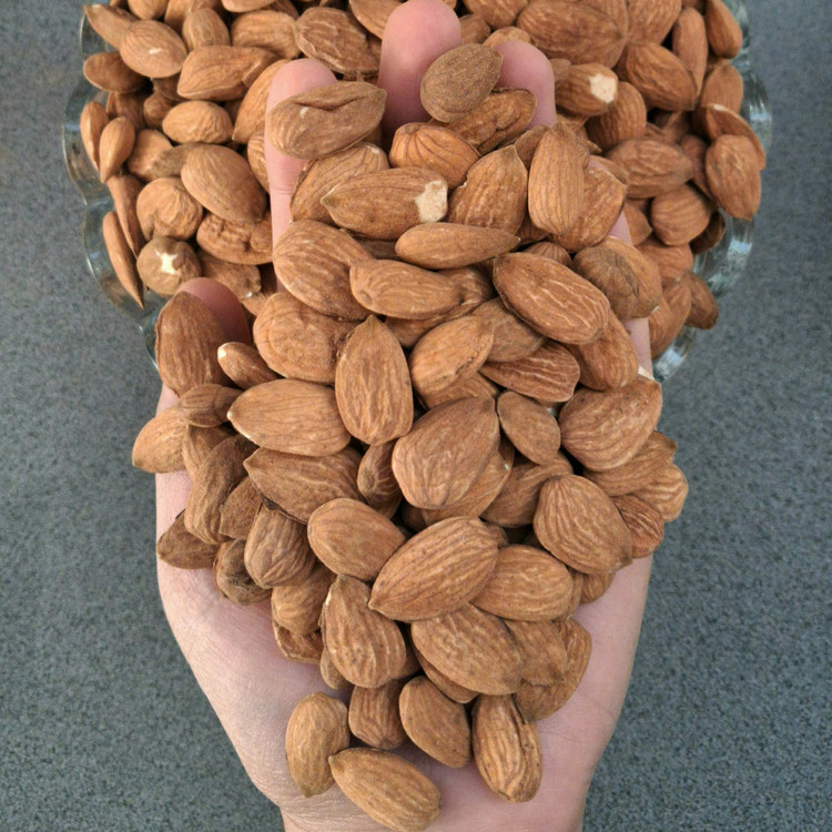 مغز بادام شاهرودی