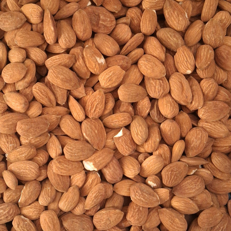 مغز بادام شاهرودی