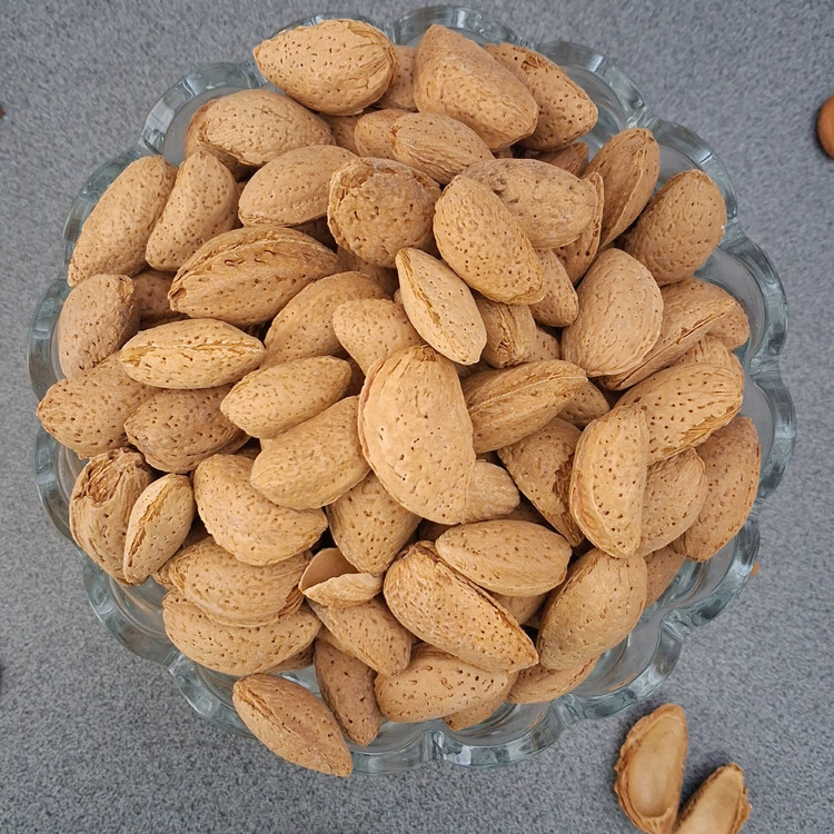 بادام ربیع