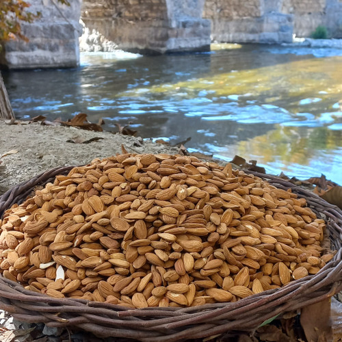 مغز بادام مامایی