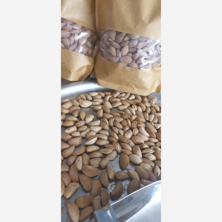 بادام درختی ایرانی مامایی