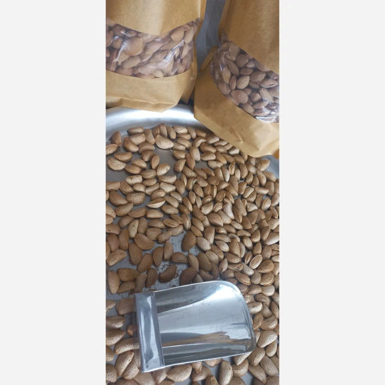 بادام درختی ایرانی مامایی