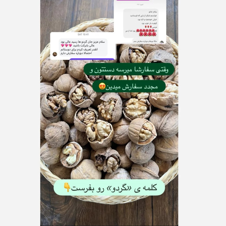 گردو سفید سامان